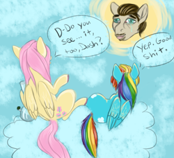 Size: 1517x1386 | Tagged: safe, artist:coppahhead, fluttershy, rainbow dash, pegasus, pony, bong, cloud, cloudy, drugs, flutterhigh, marijuana, nicolas cage, vulgar, wat