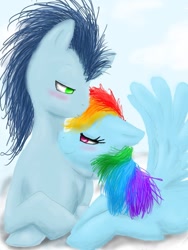 Size: 774x1032 | Tagged: safe, artist:reazythecat, rainbow dash, soarin', pegasus, pony, female, male, shipping, soarindash, straight