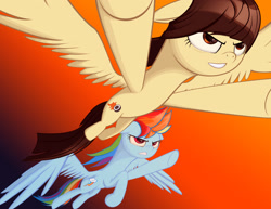 Size: 2560x1980 | Tagged: safe, artist:styroponyworks, derpibooru import, rainbow dash, wild fire, pegasus, pony, flying