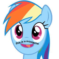 Size: 800x800 | Tagged: safe, rainbow dash, pegasus, pony, mousdash, moustache, solo, text