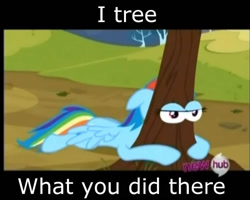 Size: 780x624 | Tagged: safe, derpibooru import, rainbow dash, pegasus, pony, i see what you did there, it's so punny it hurts, pun, tree