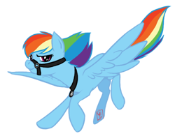 Size: 578x450 | Tagged: safe, artist:generalpanic, rainbow dash, pegasus, pony, bridle, collar, reins, solo