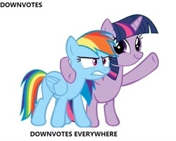 Size: 639x513 | Tagged: safe, rainbow dash, twilight sparkle, pegasus, pony, image macro, meme, reaction image, text, twiface, wrong neighborhood, x x everywhere