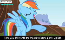 Size: 1600x973 | Tagged: safe, rainbow dash, pegasus, pony, comic:celestia's servant interview, caption, interview, meta