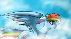 Size: 1304x726 | Tagged: safe, artist:tincantim, derpibooru import, rainbow dash, pegasus, pony, solo, spread wings