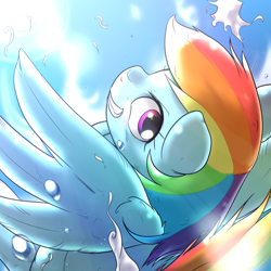 Size: 1024x1024 | Tagged: safe, artist:ushiro no kukan, derpibooru import, rainbow dash, pegasus, pony, crepuscular rays, grin, solo, sun