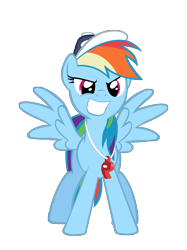 Size: 1403x1872 | Tagged: safe, artist:masterrottweiler, rainbow dash, pegasus, pony, may the best pet win, best pony, cute, dashabetes, feminism, rainbow dashs coaching whistle, simple background, transparent background, vector, whistle, whistle necklace