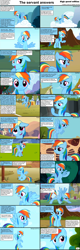 Size: 1282x4018 | Tagged: safe, rainbow dash, pegasus, pony, comic:celestia's servant interview, caption, comic, interview