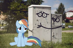 Size: 900x598 | Tagged: safe, rainbow dash, irl, photo, ponies in real life, sad