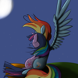 Size: 1280x1280 | Tagged: safe, artist:geneticanomaly, rainbow dash, twilight sparkle, pegasus, pony, cover art, fanfic, female, hug, lesbian, night, shipping, sitting, twidash