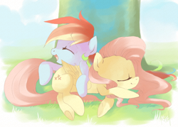 Size: 840x600 | Tagged: dead source, safe, artist:loyaldis, fluttershy, rainbow dash, pegasus, pony, duo, female, sleeping, tree