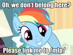 Size: 383x292 | Tagged: safe, edit, edited screencap, screencap, rainbow dash, pegasus, pony, read it and weep, /mlp/, caption, cropped, hub logo, image macro, reaction image, roflbot, text