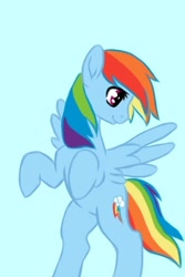 Size: 320x480 | Tagged: safe, artist:rainbow-turtle, rainbow dash, pegasus, pony, blue coat, female, mare, multicolored mane