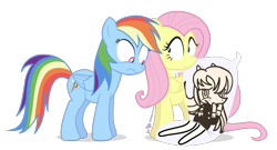 Size: 850x460 | Tagged: safe, artist:dm29, derpibooru import, fluttershy, rainbow dash, pegasus, pony, body pillow, duo, otaku, otakushy, possible spoilers, revolutionary girl utena, utenashy