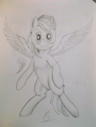 Size: 3216x4288 | Tagged: safe, artist:scribblepwn3, derpibooru import, rainbow dash, pegasus, pony, cutie mark, element of loyalty, flying, monochrome, pencil drawing, solo, spread wings, traditional art