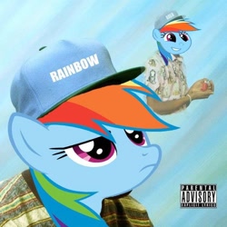 Size: 608x608 | Tagged: safe, rainbow dash, pegasus, pony, odd future, ofwgkta, tyler the creator, wolf (album)