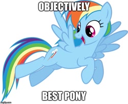 Size: 609x499 | Tagged: safe, derpibooru import, rainbow dash, pegasus, pony, best pony, image macro, meme