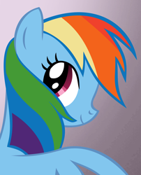 Size: 8500x10502 | Tagged: safe, artist:mmu7, rainbow dash, pegasus, pony, absurd resolution, blue coat, female, mare, multicolored mane, solo