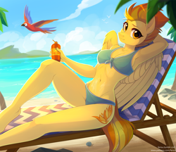 Size: 2922x2524 | Tagged: safe, artist:fensu-san, spitfire, anthro, bird, parrot, pegasus, unguligrade anthro, adorasexy, armpits, beach, bikini, breasts, cleavage, clothes, cute, cutefire, digital art, female, high res, looking at you, macaw, mare, palm tree, raised eyebrow, sexy, solo, stupid sexy spitfire, swimsuit, tree