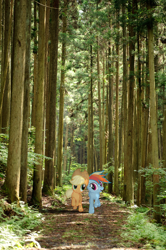 Size: 1198x1800 | Tagged: safe, derpibooru import, applejack, rainbow dash, pony, irl, photo, ponies in real life, run, tree, vector