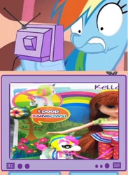 Size: 659x900 | Tagged: safe, rainbow dash, pegasus, pony, exploitable meme, poop, toy, tv meme, wat, why