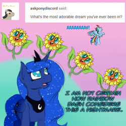 Size: 800x800 | Tagged: safe, artist:timid tracks, princess luna, rainbow dash, alicorn, pegasus, pony, do princesses dream of magic sheep, ask, dream, flower, nightmare, nightmare sunflower, singing, sunflower, tumblr