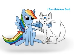 Size: 816x612 | Tagged: safe, artist:catlori9, derpibooru import, rainbow dash, oc, cat, pegasus, pony, non-mlp oc