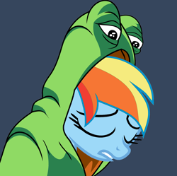 Size: 2208x2200 | Tagged: safe, artist:fillylover, derpibooru import, rainbow dash, pegasus, pony, feels, feels bad man, frog suit, image macro, meme, pepe the frog, solo