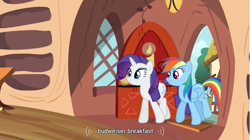 Size: 855x480 | Tagged: safe, screencap, rainbow dash, rarity, pegasus, pony, unicorn, beer, budweiser, youtube caption