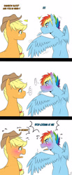 Size: 1280x3094 | Tagged: safe, artist:marima15, derpibooru import, applejack, rainbow blitz, rainbow dash, earth pony, pegasus, pony, appleblitz (straight), appledash, awkward, blushing, comic, embarrassed, feather, female, half r63 shipping, male, mouth hold, preening, rule 63, shipping, spread wings, straight, yelling