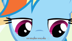 Size: 854x480 | Tagged: safe, screencap, rainbow dash, pegasus, pony, read it and weep, solo, youtube caption