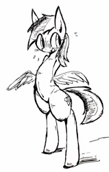 Size: 652x1024 | Tagged: dead source, safe, artist:91o42, derpibooru import, rainbow dash, pegasus, pony, bipedal, black and white, blushing, female, grayscale, mare, monochrome, open mouth, simple background, sketch, solo, traditional art, white background