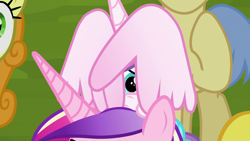 Size: 1280x720 | Tagged: safe, screencap, carrot top, golden harvest, goldengrape, princess cadance, princess flurry heart, sir colton vines iii, alicorn, earth pony, pony, road to friendship, baby, baby pony, covering, cute, female, flurrybetes, male, mare, mother and child, mother and daughter, parent and child, peeking, pony hat, scared, stallion, wing covering