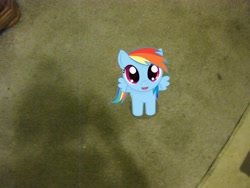 Size: 3648x2736 | Tagged: safe, rainbow dash, pegasus, pony, cute, filly, filly rainbow dash, ponies in real life, pov, solo