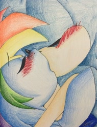 Size: 1024x1347 | Tagged: safe, artist:aislynndavis, derpibooru import, rainbow dash, pegasus, pony, blushing, crossover, crossover shipping, female, interspecies, kissing, male, shipping, sonic the hedgehog, sonic the hedgehog (series), sonicdash, straight, traditional art