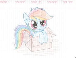Size: 1024x786 | Tagged: safe, artist:rubixks, derpibooru import, rainbow dash, pegasus, pony, fanfic:my little dashie, box, cute, female, filly, homeless, lined paper, looking at you, pony in a box, solo, traditional art, wingless