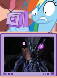 Size: 559x768 | Tagged: safe, rainbow dash, pegasus, pony, zombie, beast hunters, breakdown, exploitable meme, terrorcon, transformers, transformers prime, tv meme