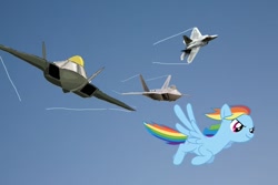 Size: 800x533 | Tagged: dead source, safe, artist:jax5485, rainbow dash, pegasus, pony, f-22 raptor, flying, jet, solo