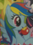 Size: 190x258 | Tagged: safe, rainbow dash, pegasus, pony, apple, bizarro dash, bizarro world, color error, official, sparkle world, wobniar, you had one job