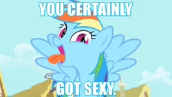 Size: 1280x720 | Tagged: safe, rainbow dash, pegasus, pony, garzey's wing, image macro, quote, silly, solo, text, tongue out