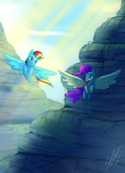 Size: 929x1280 | Tagged: safe, artist:seyllah, derpibooru import, fluttershy, rainbow dash, pegasus, pony, crepuscular rays, flying, looking at each other, spread wings