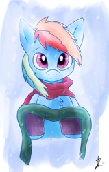 Size: 854x1346 | Tagged: safe, artist:ponilaminator, rainbow dash, pegasus, pony, chest fluff, clothes, scarf, solo