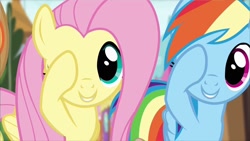 Size: 1280x720 | Tagged: safe, derpibooru import, screencap, fluttershy, rainbow dash, pegasus, pony, pinkie promise