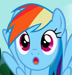 Size: 582x610 | Tagged: safe, screencap, rainbow dash, pegasus, pony, may the best pet win, :o, cropped, face, faic, solo