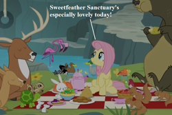 Size: 864x576 | Tagged: safe, edit, edited screencap, screencap, angel bunny, constance, fluttershy, harry, princess luna, alicorn, bear, bird, chipmunk, deer, duck, flamingo, mallard, mouse, pegasus, pony, squirrel, tortoise, turtle, fake it 'til you make it, animal, common loon, cropped, female, house finch, loon, mare, picnic, salad, stag, sweet feather sanctuary