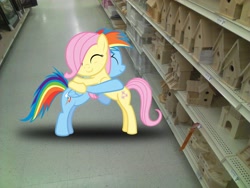 Size: 2048x1536 | Tagged: safe, artist:tokkazutara1164, fluttershy, rainbow dash, pegasus, pony, bird house, filly, hug, ponies in real life, shadow, store, vector