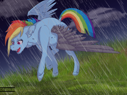 Size: 4000x3000 | Tagged: safe, artist:lesiwtroublemaker, derpibooru import, rainbow dash, pegasus, pony, the cutie re-mark, alternate timeline, apocalypse dash, crying, crystal war timeline, field, rain, solo