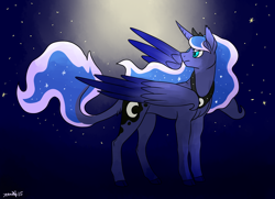 Size: 2900x2100 | Tagged: safe, artist:animalstamp, princess luna, alicorn, pony, cutie mark, ethereal mane, female, frown, jewelry, leonine tail, looking back, mare, night, regalia, solo, starry mane, stars