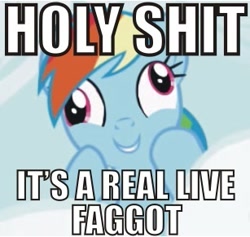 Size: 307x291 | Tagged: safe, rainbow dash, pegasus, pony, derp, image macro, op is a faggot, reaction image, slur, solo, vulgar