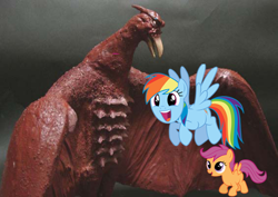 Size: 566x400 | Tagged: safe, rainbow dash, scootaloo, kaiju, pegasus, pony, crossover, godzilla (series), photoshop, rodan